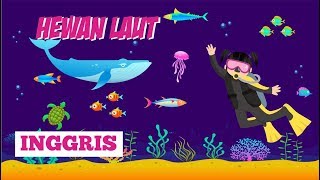 PETUALANGAN SI BUNBUN - Belajar Mengenal Nama-nama Binatang Laut dalam Bahasa Inggris Bagian 1