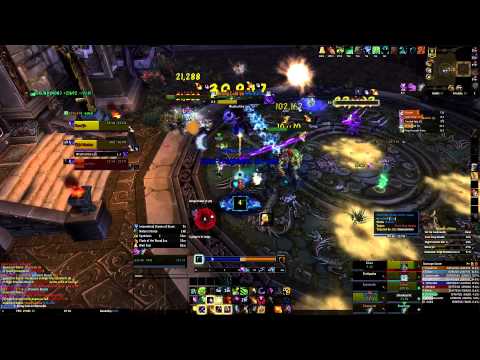 Council of Elders heroic VS Utvalda (Boomkin POV)