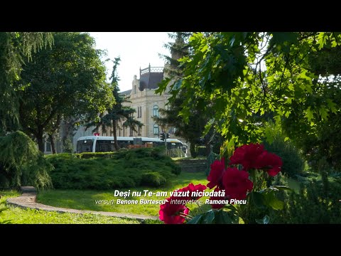 Colaj de poezii | Ramona Pincu (3)