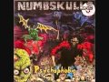 Numbskulls-Sleepwalking