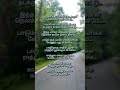 Nethu Oruthara Oruthar Parthom WhatsApp Status Tamil Old Songs