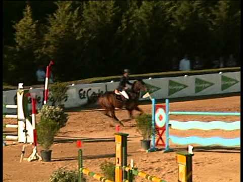 RPZ willeke con luis marquez valdemoro 2013 prueba de gp 1,40