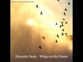 Naoyuki Onda - Wings in the Dawn