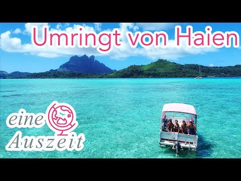 🇵🇫 Umringt von Haien - Bora Bora 4K Französisch Polynesien - Weltreise Vlog 79