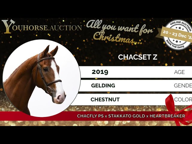 Chacset Trainingsvideo