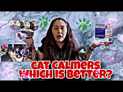 CAT CALMERS, WHICH IS BETTER?                                                 #