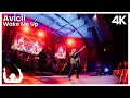 SYNTHONY - Avicii 'Wake Me Up' (Live from New Plymouth)