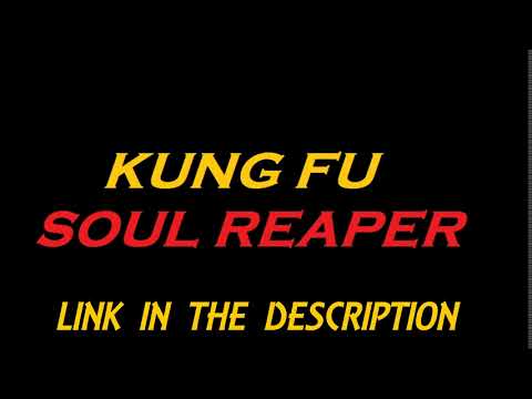 Kung Fu Soul Reaper (Live Streaming)