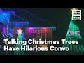 Holiday Display Features Two Bickering Christmas Trees | NowThis