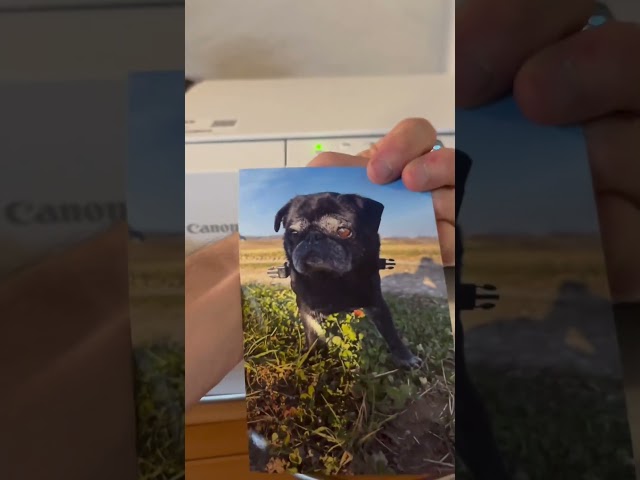 Video teaser for Canon PIXMA TS6550i Test von Roman: schnelle Einrichtung & Home-Office-Test