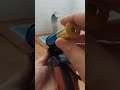 Double Barrel Shotgun Airsoft Airsoft
