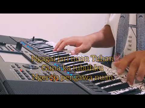 MERUAN KU NGENANG (DELLY AMERA)