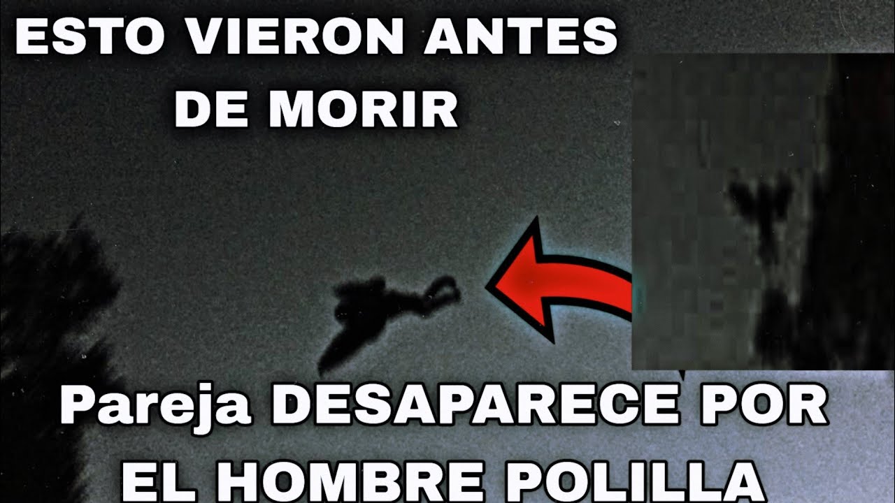 Impactante avistamiento del mothman/El hombre polilla|| Mothman