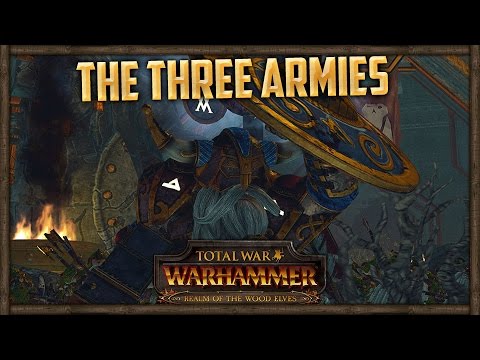 [98] FIGHTING 3 WOOD ELF ARMIES (Belegar w/ Clan Angrund) - Total War Warhammer Online Battle