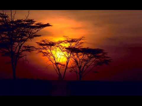 Tania Monies - It's Only A Test (A1 Andrea Mendoza Vs. Tíbet Sax Mix)