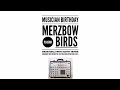 How to play like Merzbow Plasma Birds - December 19 Birthday Scotty Irving Discusses Masami Akita