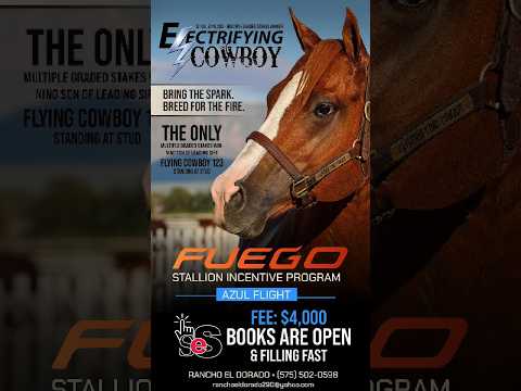 Electrifying Cowboy Joins Fuego Stallion Incentive’s Azul Flight; 2027 Fee Set at $4,000