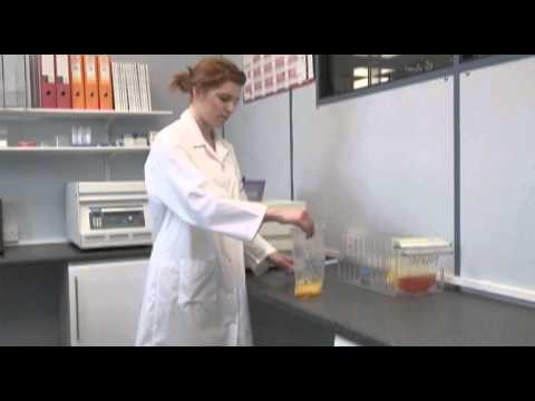 Seward Stomacher 400 Circulator