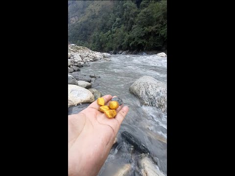 Kali Gandaki River Found Golden Stone #shorts