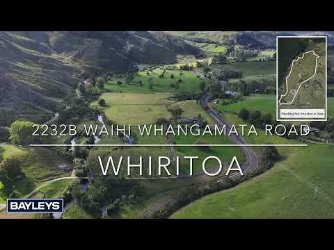2232b Waihi - Whangamata Road, Whiritoa, Hauraki, Waikato, 0房, 0浴, 牧场