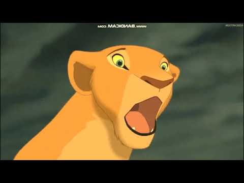 "A Animal's Life" Part 21 - "You're Not Warriors?"