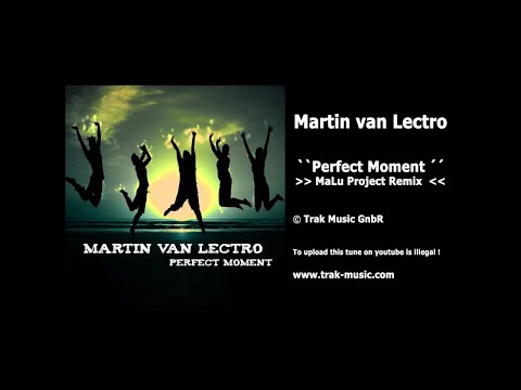 Martin Van Lectro - Perfect Moment (MaLu Project Remix)