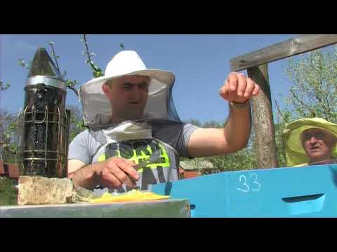 Boja meda ep. 7 24.04.2018. NAJAVA