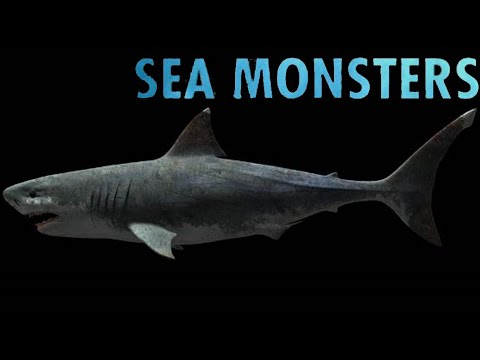 Sea Monsters [2004] - Megalodon Screen Time