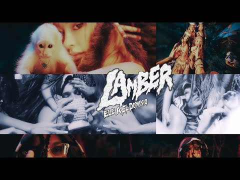 Miniatura de Lamber