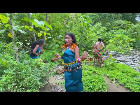 Vídeo Oficial de Piusa Nua/Ii mesermasrikia.