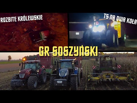 ✮CORN in GR SOSZYŃSKI✮ | "CLEARLY TOO MUCH ROYAL" | ✓T5 IN THE AIR✓ | OPOROOOWO | AF™️