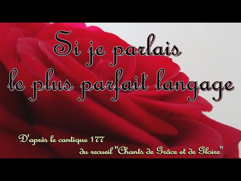 Si je parlais le plus parfait langage