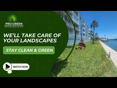 Meet Pro Green Grounds Maintenance | St. Pete’s Trusted Landscaping Experts