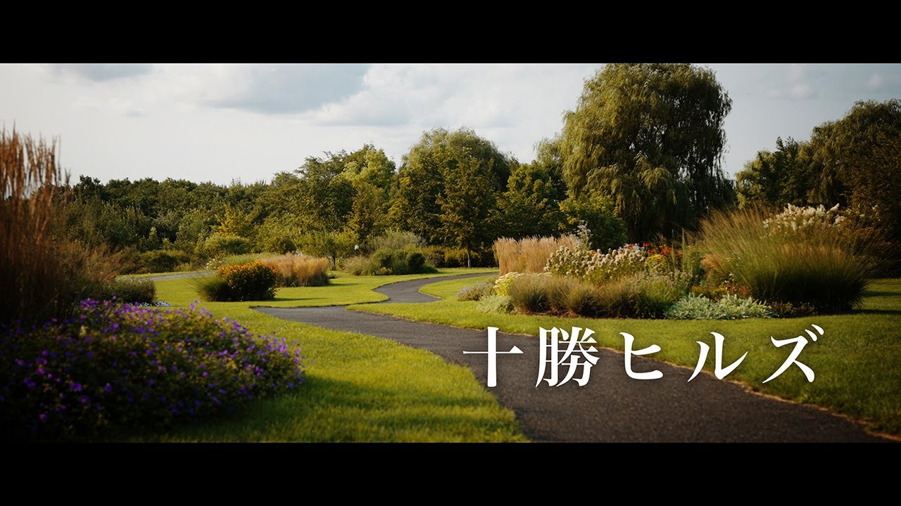 『十勝ヒルズ』8月の花｜ホスタ,エキナセア,ノリウツギなど見頃【北海道のガーデン】