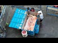 manila philippines fresh meat stands in pasig mega market 마닐라 파식 재래시장