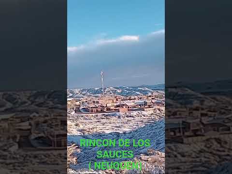 Rincon de los sauces ( neuquen)