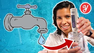 How to Test Water Quality at Home: Should You Filter Your Water
