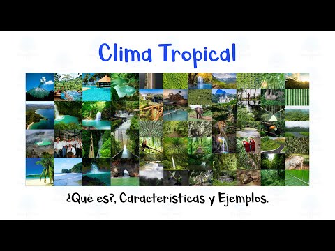 🌴 Clima Tropical 🦜 Definición, Características y Ejemplos 🌳 [Fácil y Rápido]