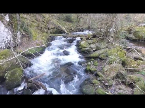 Zauberhafter Hotzenwald