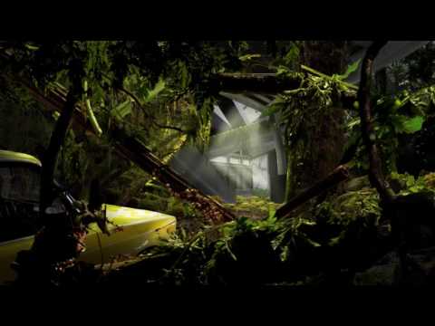 The making of The DAE jungle