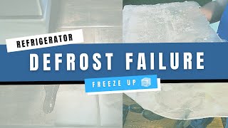 Repair Freezer Defrost Drain Freeze-Up | Refrigerator Leaking From Door