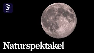 Letzter Supermond des Jahres 2025