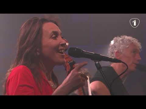 OOSTENDE - SPINVIS Live @ Radio 1 Sessie