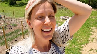 Backyard Transformation On A Budget!