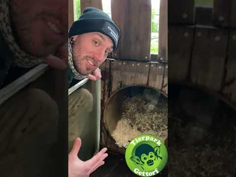 Winterschlaf/Ruhe/Starre