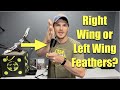Left Wing Or Right Wing Feathers What Is The Difference Choose The BEST One For Your Arrows