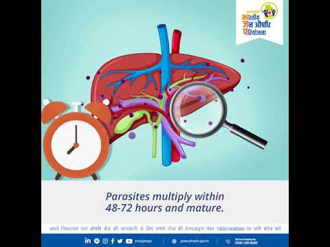 How Do We get Infected By Malaria :
