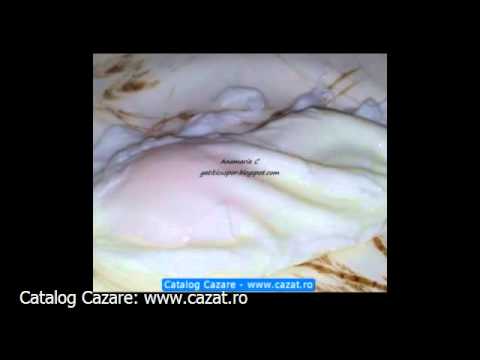 Cazare Gagesti, Vaslui - Cazat.ro