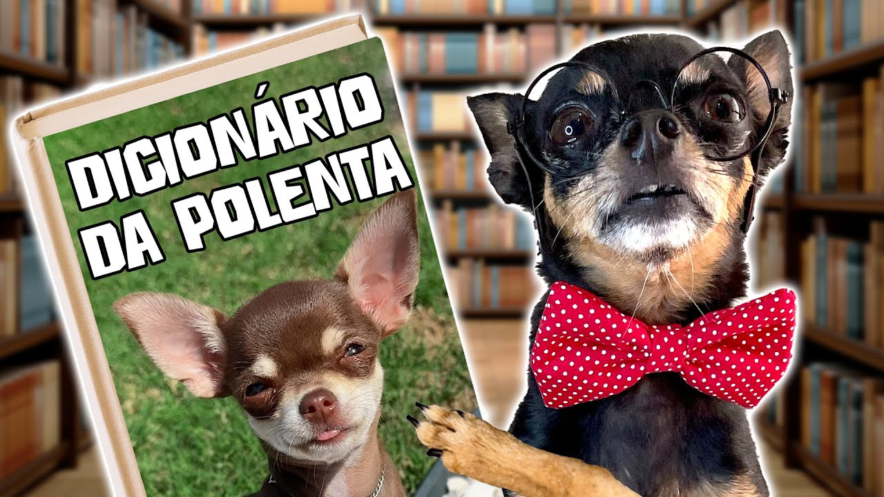 TODAS AS PALAVRAS QUE A POLENTA JÁ FALOU DESDE QUE ELA CHEGOU ATÉ AGORA + 3 SHORTS INÉDITOS