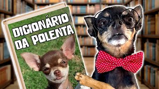 TODAS AS PALAVRAS QUE A POLENTA JÁ FALOU DESDE QUE ELA CHEGOU ATÉ AGORA + 3 SHORTS INÉDITOS